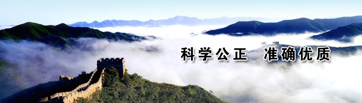 陶瓷波紋填料